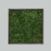 Square green lichen wall
