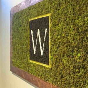A green wall with a company logo inside the business