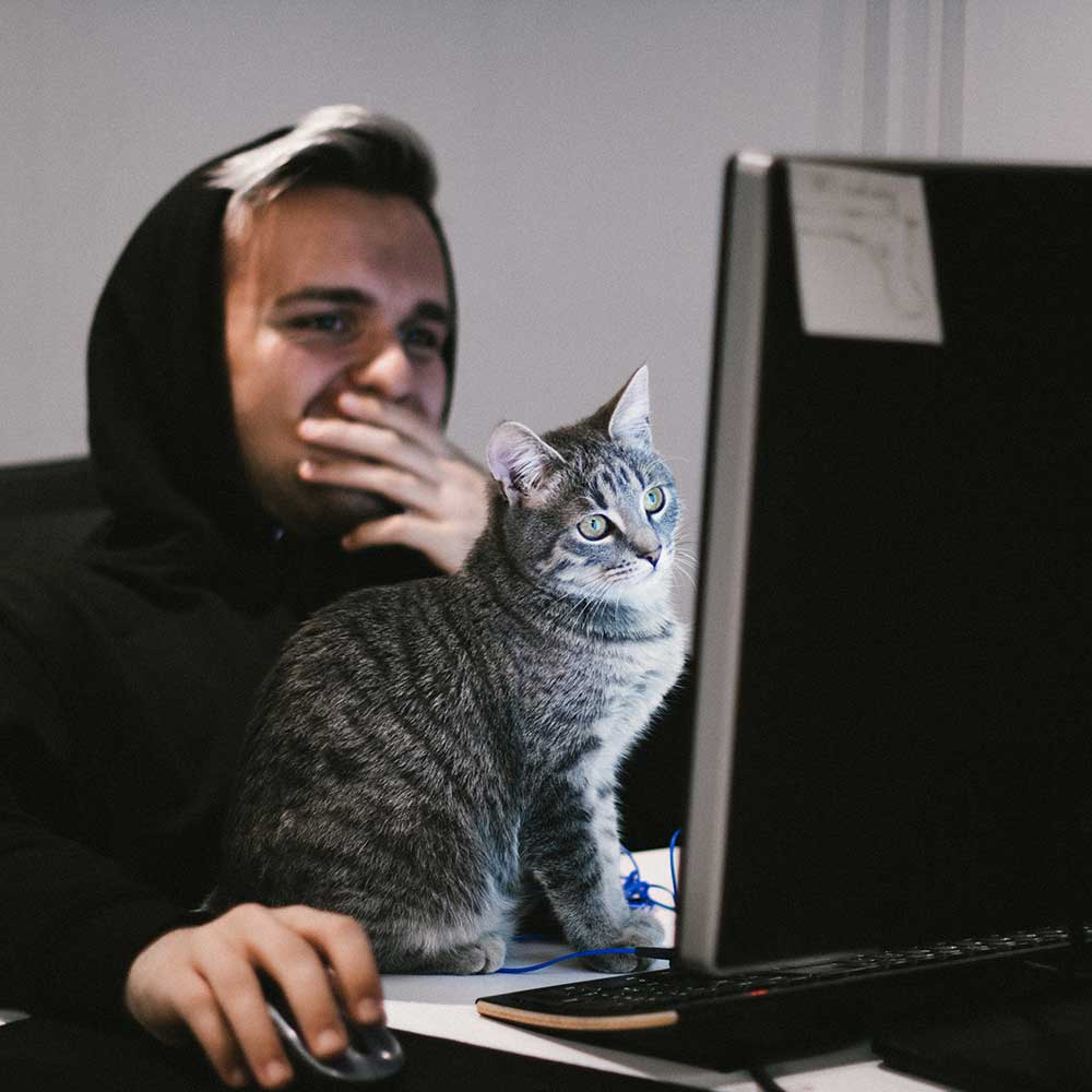 guy with black hoody working with cat on desk